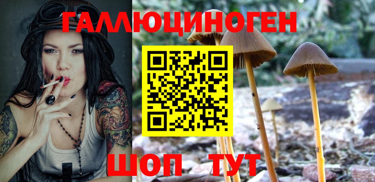 Псилоцибиновые грибы MAGIC MUSHROOMS  Галлюциногенные грибы мухоморы  Вход с VPN  Берёзовский 